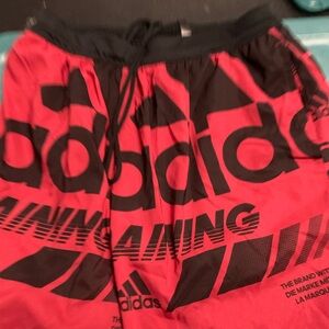 Adiddas shorts size L